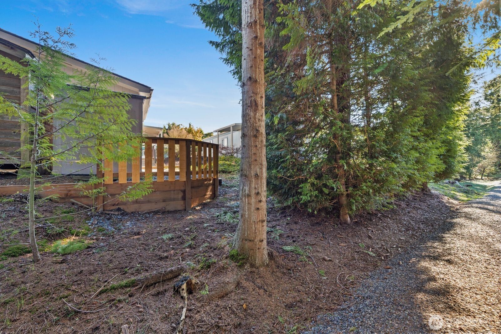 23825 15th Avenue Southeast, Unit 311 Bothell, WA 98021 - Photo 24 of 24 a view of a yard with plants and trees