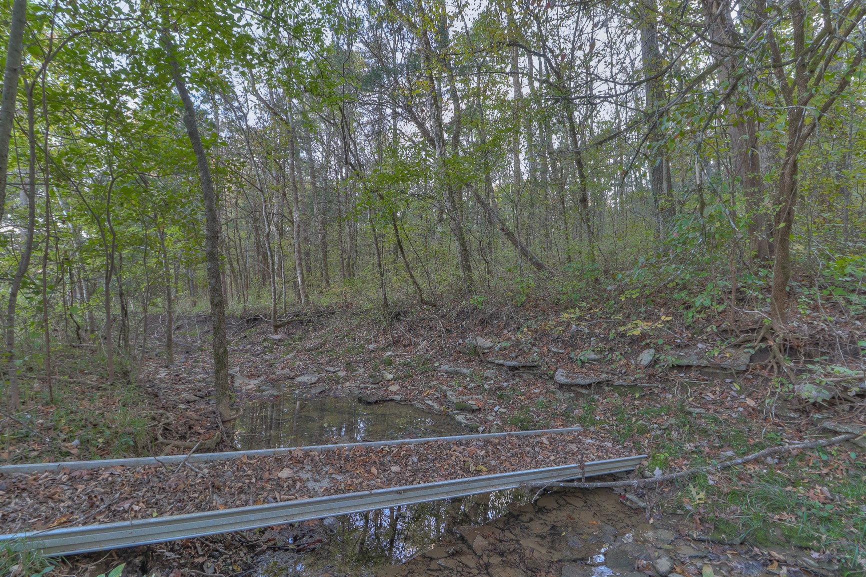 5009 Ash Hill Road Spring Hill, TN 37174 - Photo 45 of 56