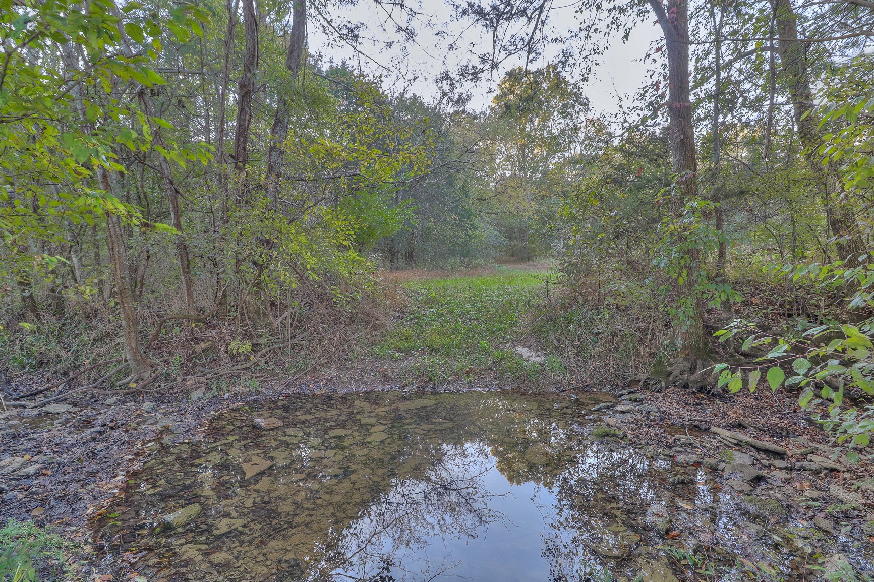 5009 Ash Hill Road Spring Hill, TN 37174 - Photo 47 of 56