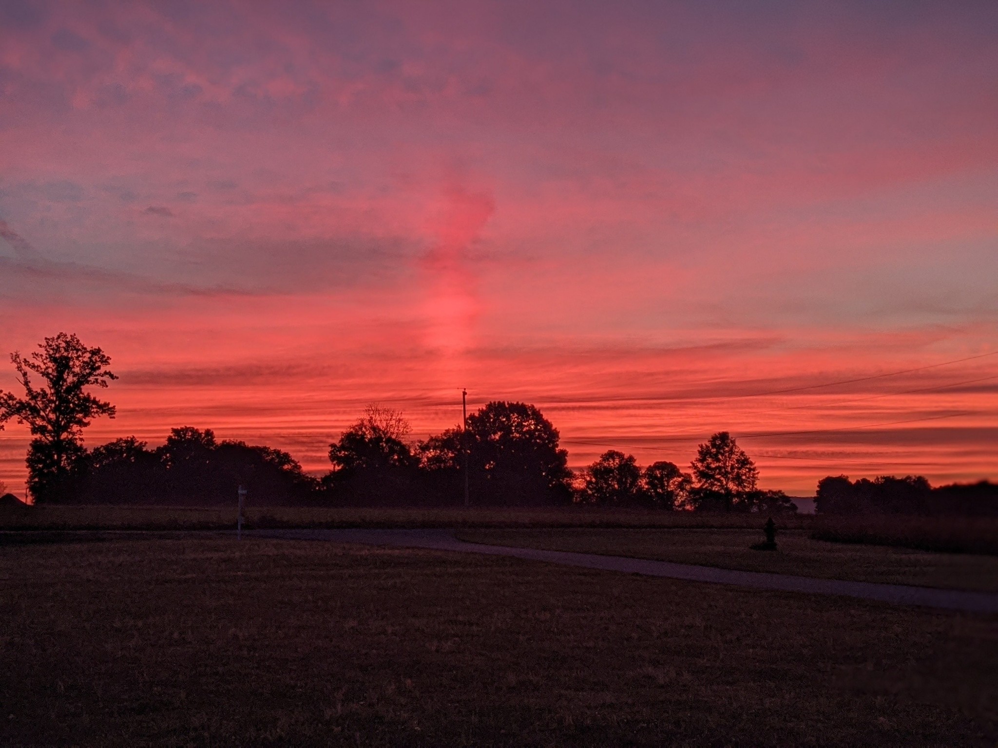 5009 Ash Hill Road Spring Hill, TN 37174 - Photo 51 of 56