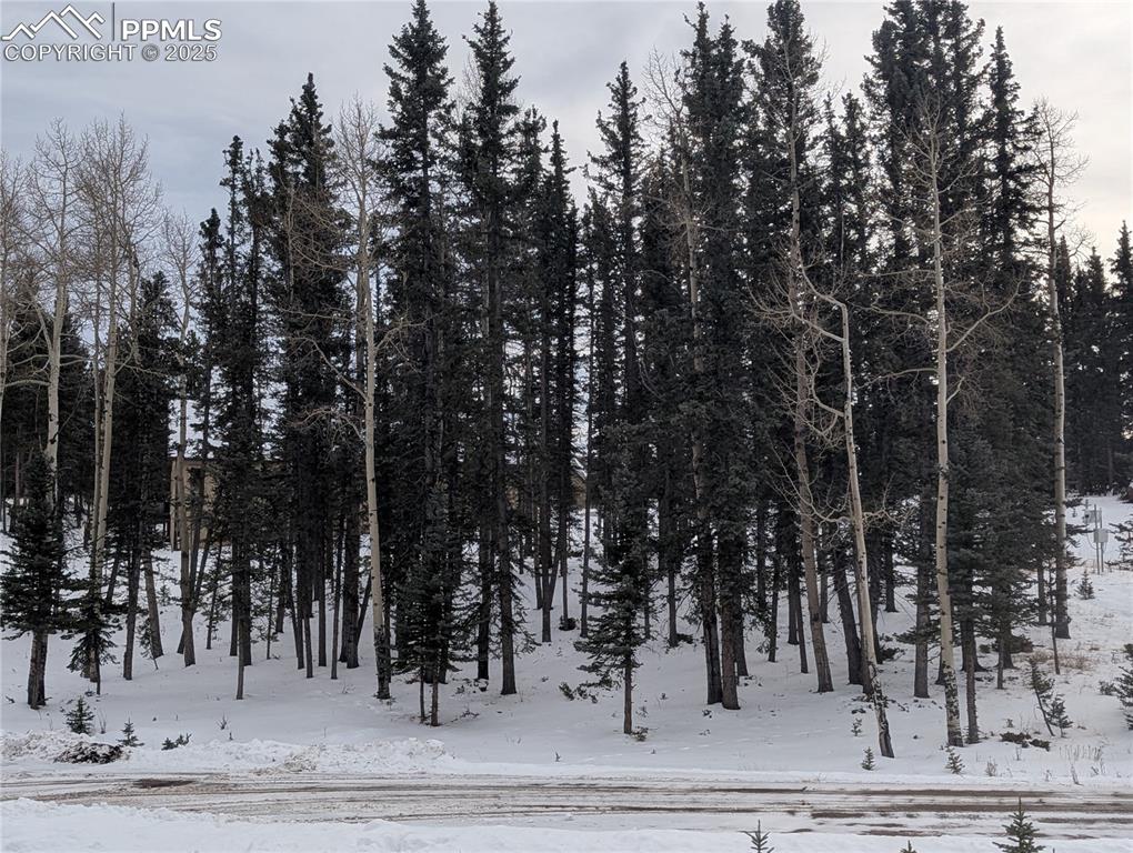 307 Pinaceae Heights Divide, CO 80814 - Photo 11 of 18 a view of a park with trees