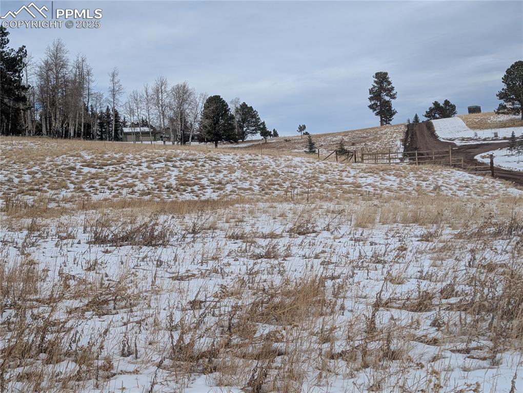 307 Pinaceae Heights Divide, CO 80814 - Photo 13 of 18 a view of a terrace view