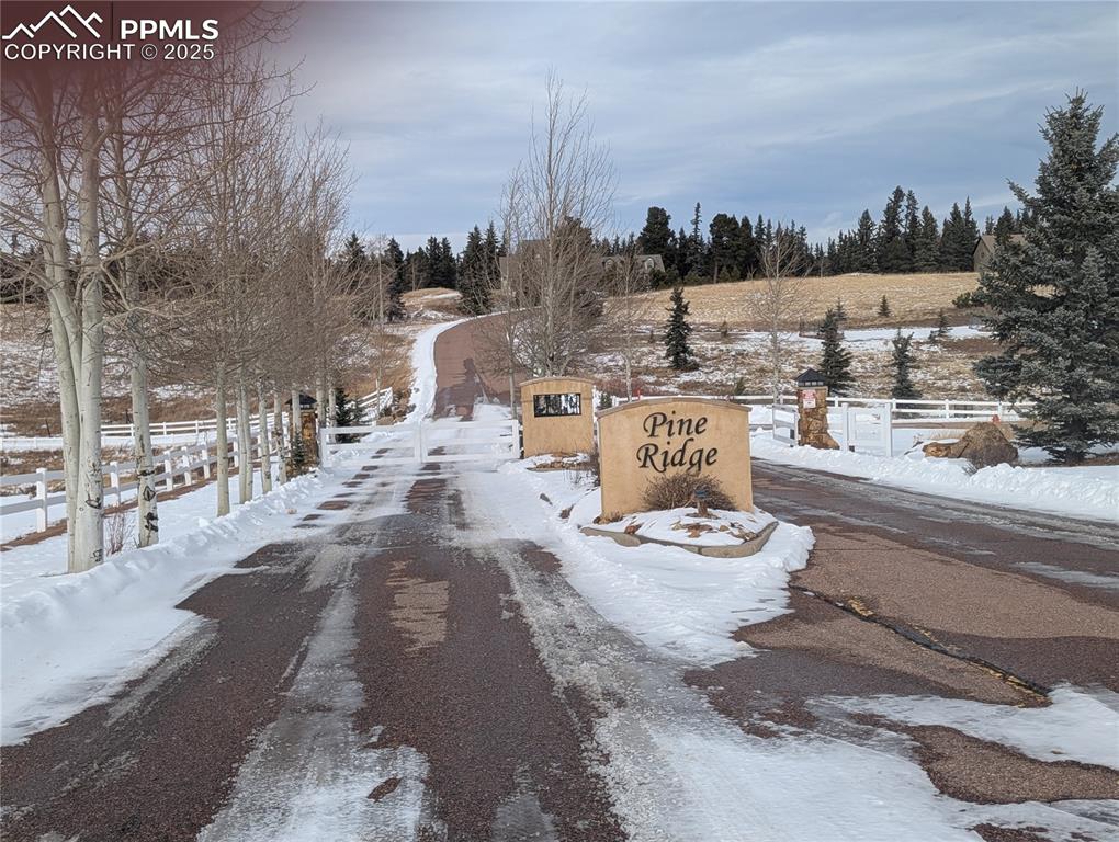 307 Pinaceae Heights Divide, CO 80814 - Photo 14 of 18 a view of a terrace with furniture and a garden