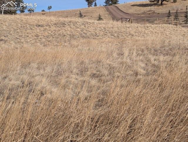 307 Pinaceae Heights Divide, CO 80814 - Photo 15 of 18 a view of a dry yard with wooden fence