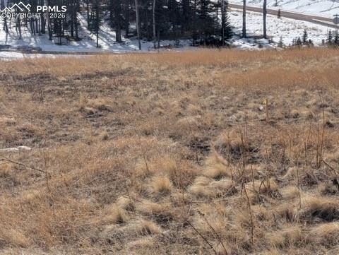 307 Pinaceae Heights Divide, CO 80814 - Photo 17 of 18 a view of a yard with trees