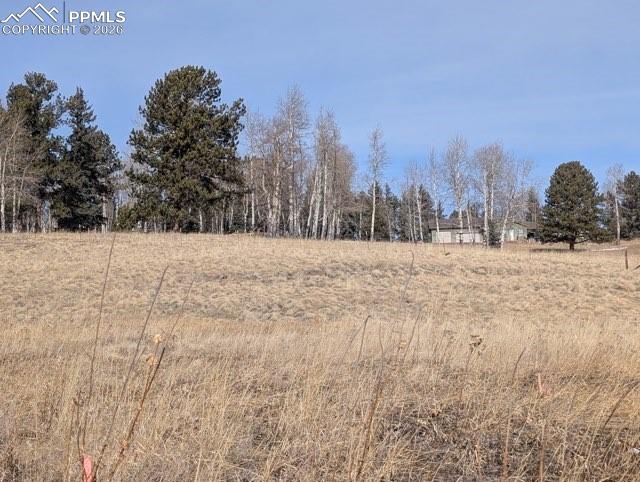 307 Pinaceae Heights Divide, CO 80814 - Photo 2 of 18 a view of snow on a field
