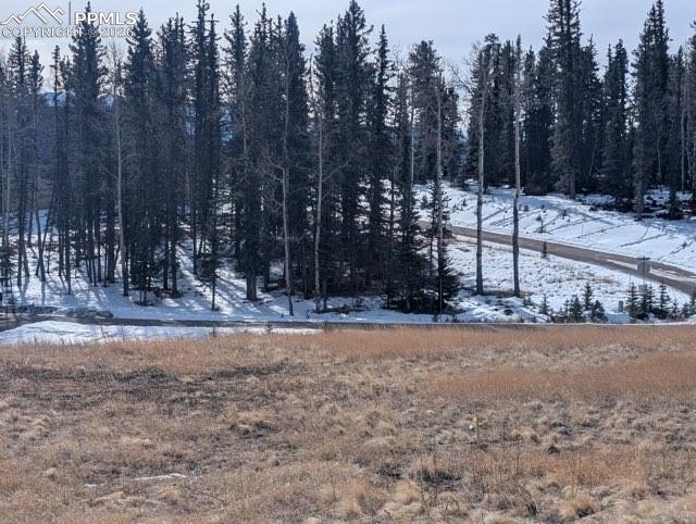 307 Pinaceae Heights Divide, CO 80814 - Photo 3 of 18 a view of a yard with a tree