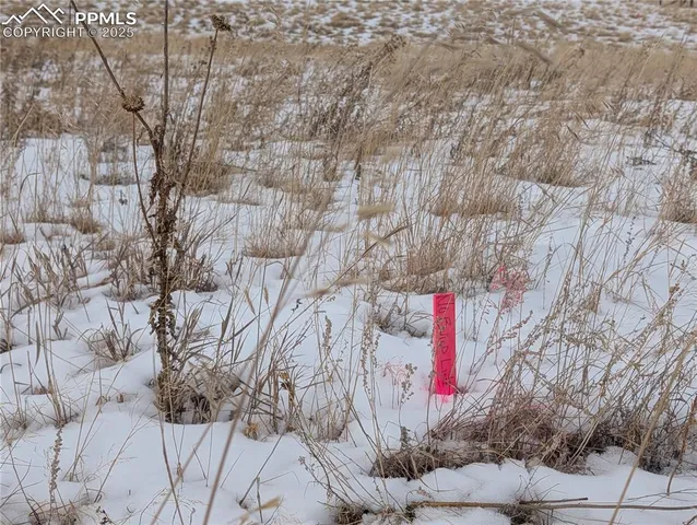 a front view of a multi story building