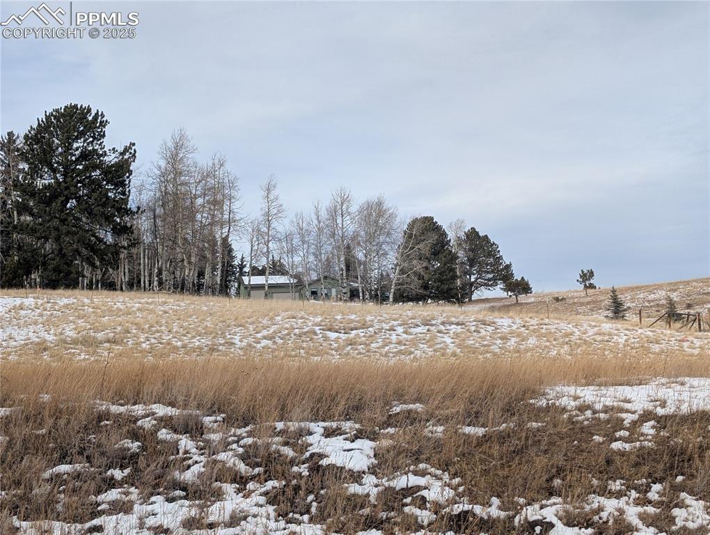 307 Pinaceae Heights Divide, CO 80814 - Photo 5 of 18 a view of a snow on the middle of a field