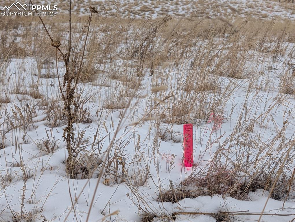 307 Pinaceae Heights Divide, CO 80814 - Photo 7 of 18 a front view of a multi story building