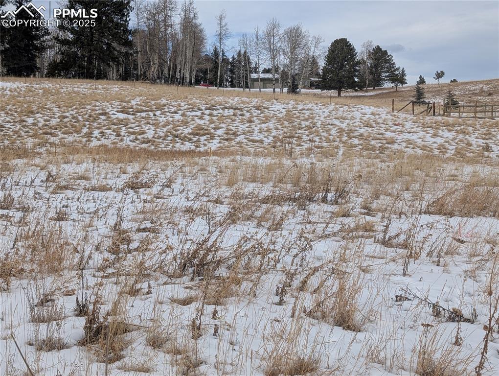 307 Pinaceae Heights Divide, CO 80814 - Photo 8 of 18 a view of a dry yard with a wooden fence