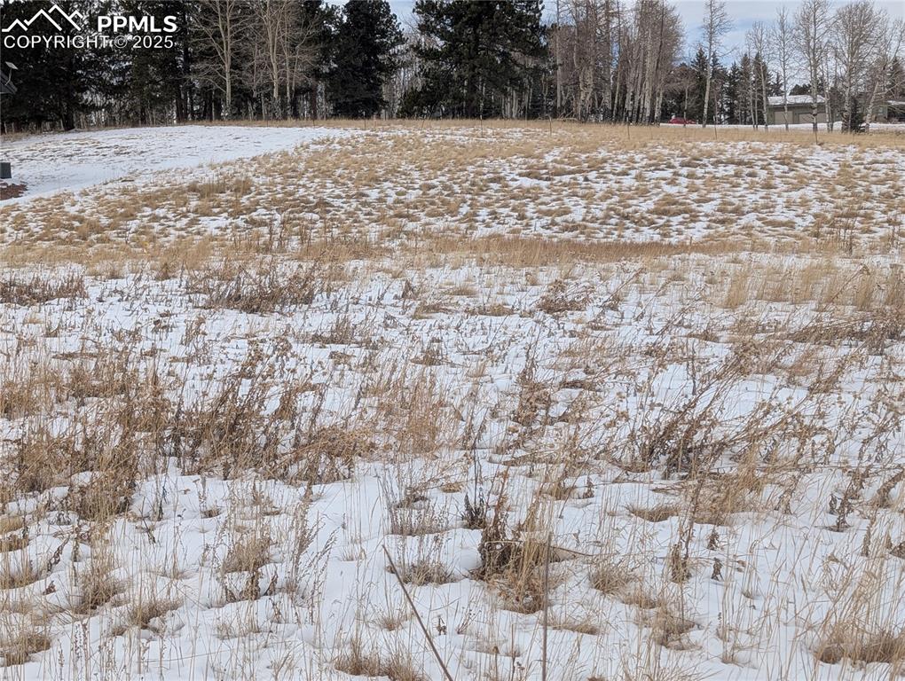 307 Pinaceae Heights Divide, CO 80814 - Photo 9 of 18 a view of road covered with snow