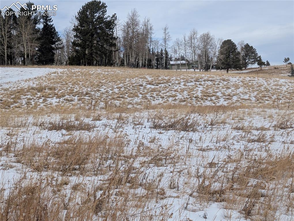 307 Pinaceae Heights Divide, CO 80814 - Photo 10 of 18 a view of a snow in the yard