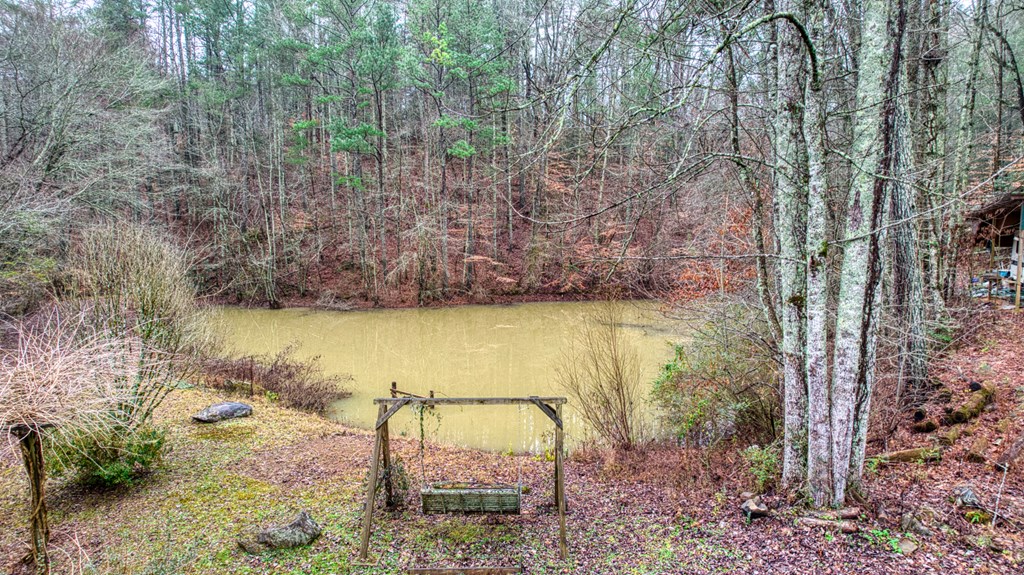 628 Seth Hyatt Road Ellijay, GA 30540 - Photo 34 of 63 Gallery Image 34