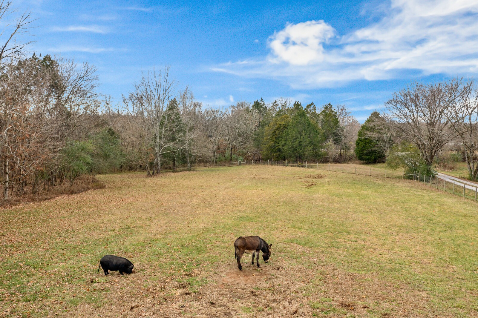 1876 Lasea Road Spring Hill, TN 37174 - Photo 51 of 56 Gallery Image 51