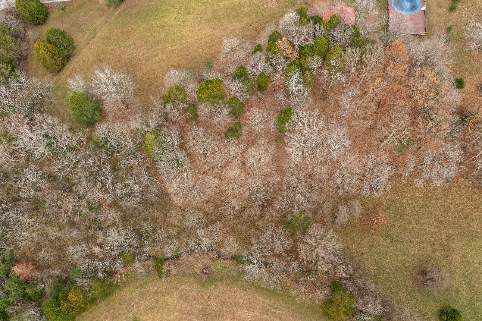 1876 Lasea Road Spring Hill, TN 37174 - Photo 54 of 56 Gallery Image 54