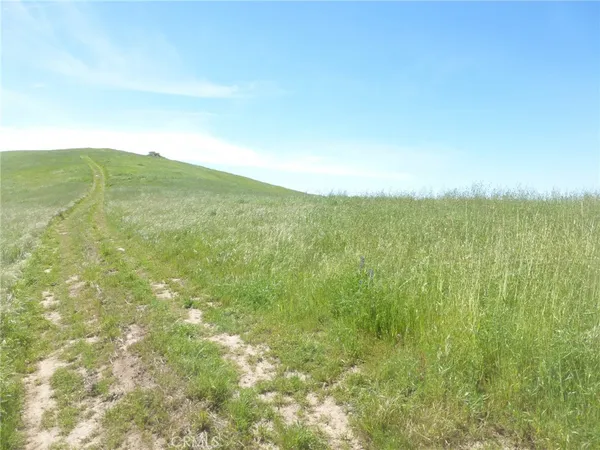 $95,000 | 0 Douglas Road, San Miguel, CA 93451