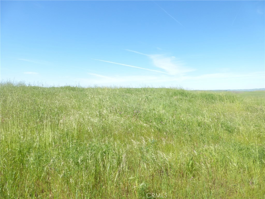 0 Douglas Road San Miguel, CA 93451 - Photo 17 of 51