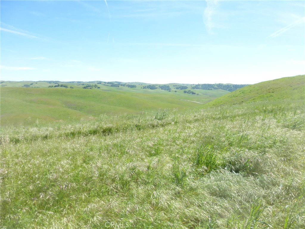 0 Douglas Road San Miguel, CA 93451 - Photo 22 of 51