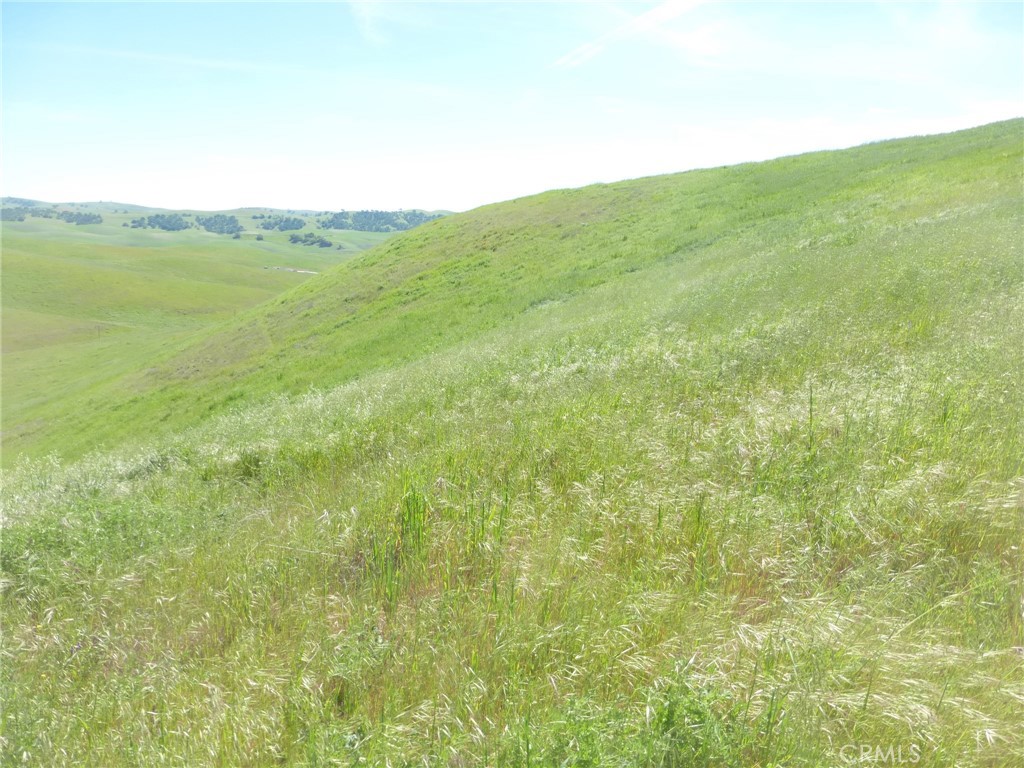 0 Douglas Road San Miguel, CA 93451 - Photo 24 of 51