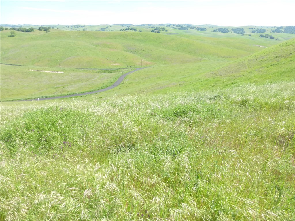 0 Douglas Road San Miguel, CA 93451 - Photo 25 of 51