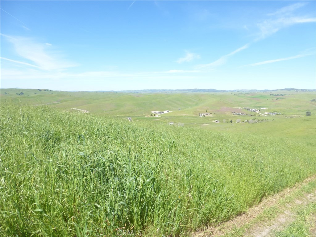 0 Douglas Road San Miguel, CA 93451 - Photo 31 of 51