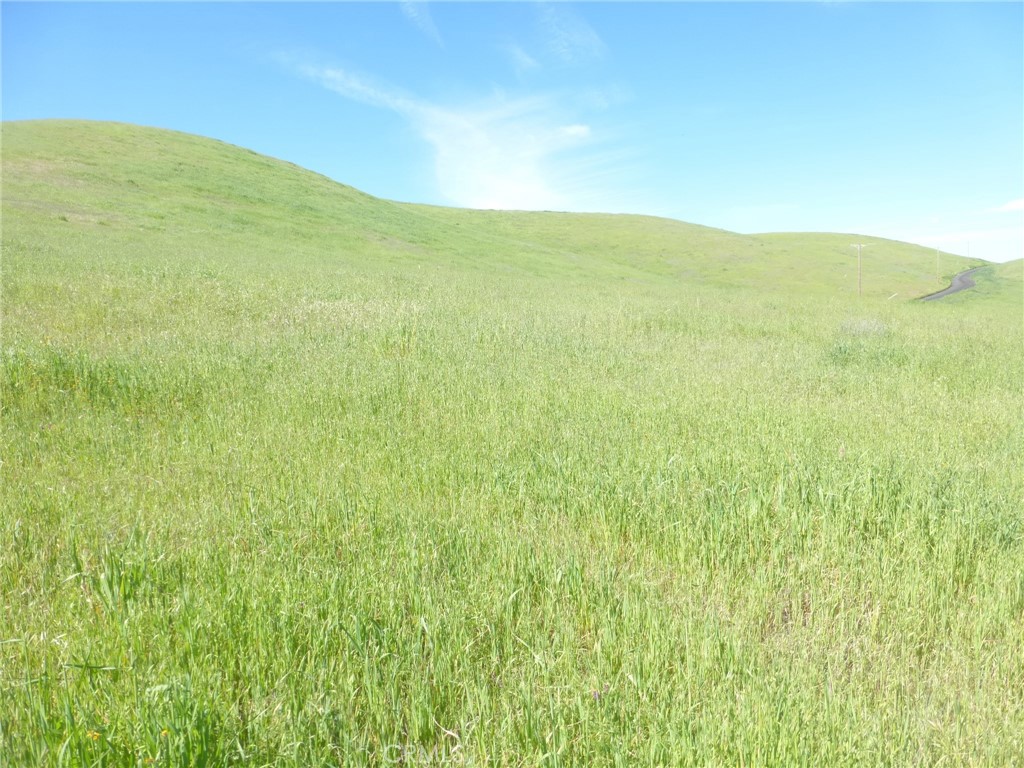 0 Douglas Road San Miguel, CA 93451 - Photo 34 of 51