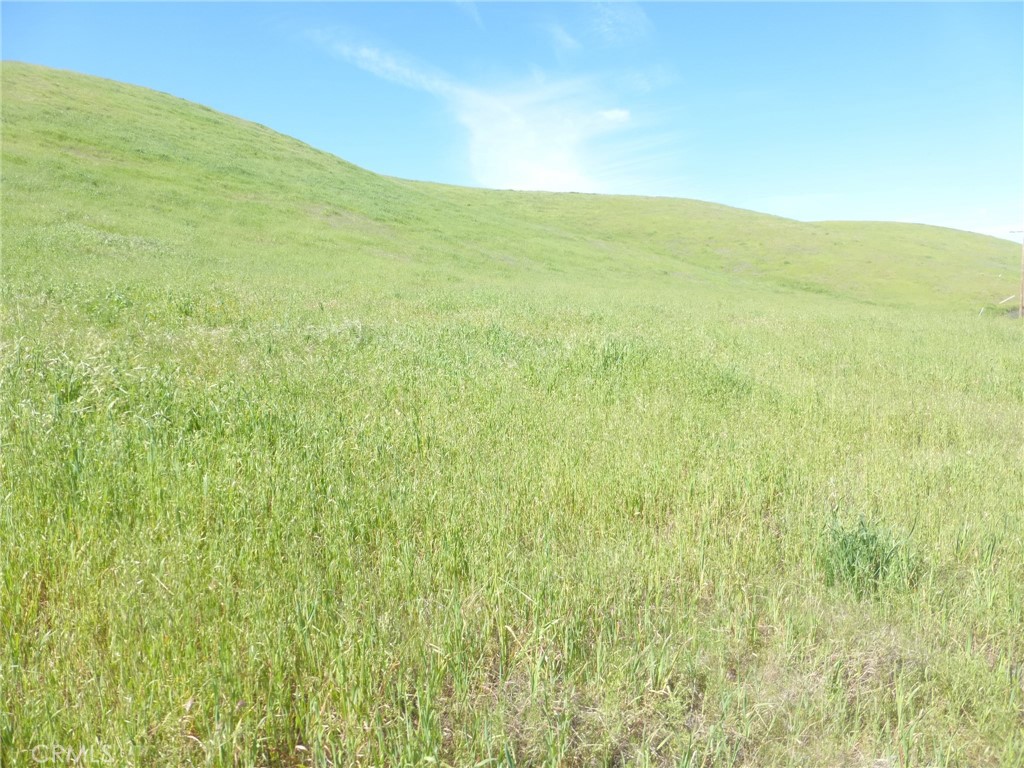 0 Douglas Road San Miguel, CA 93451 - Photo 36 of 51