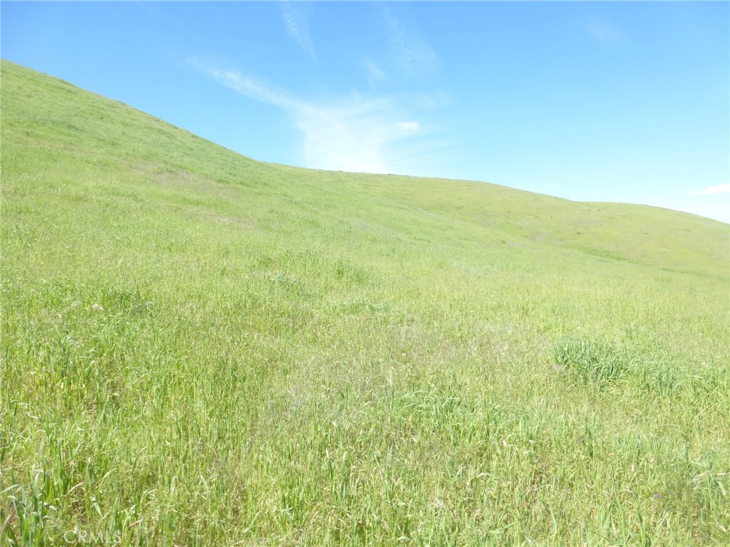 0 Douglas Road San Miguel, CA 93451 - Photo 37 of 51