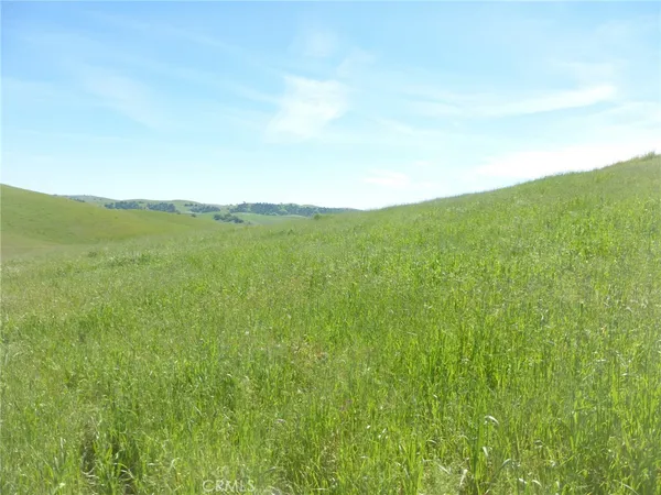 $95,000 | 0 Douglas Road, San Miguel, CA 93451