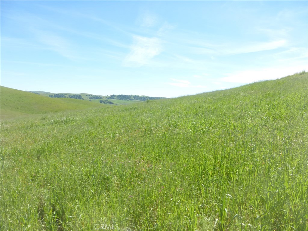 0 Douglas Road San Miguel, CA 93451 - Photo 39 of 51