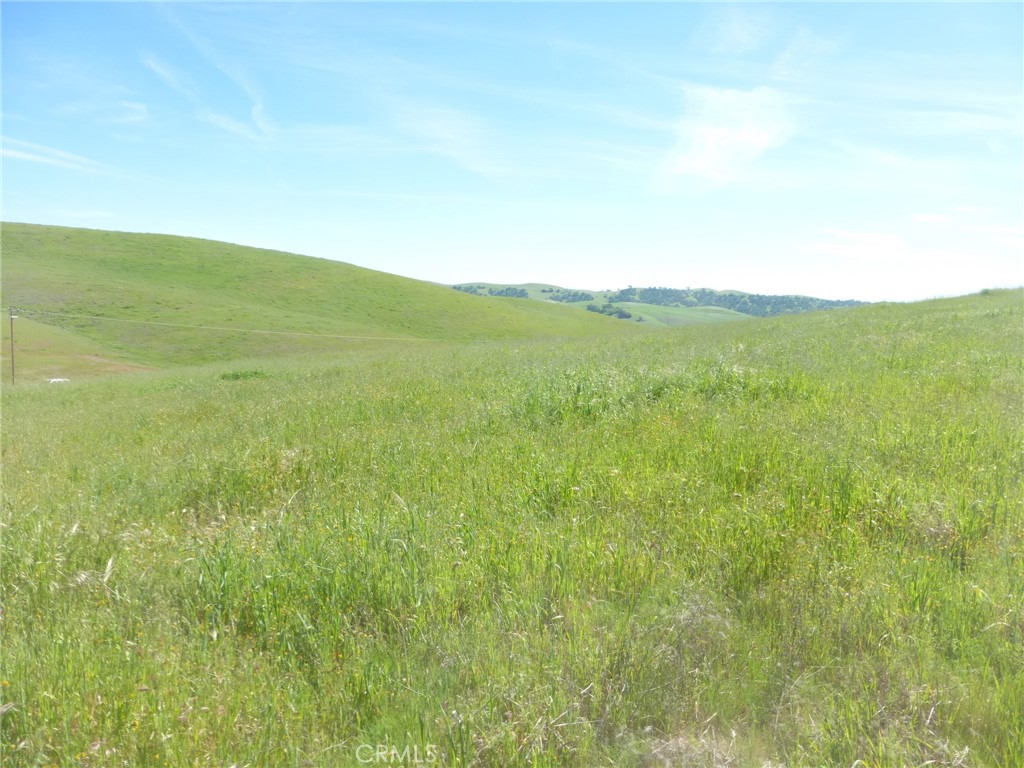 0 Douglas Road San Miguel, CA 93451 - Photo 42 of 51