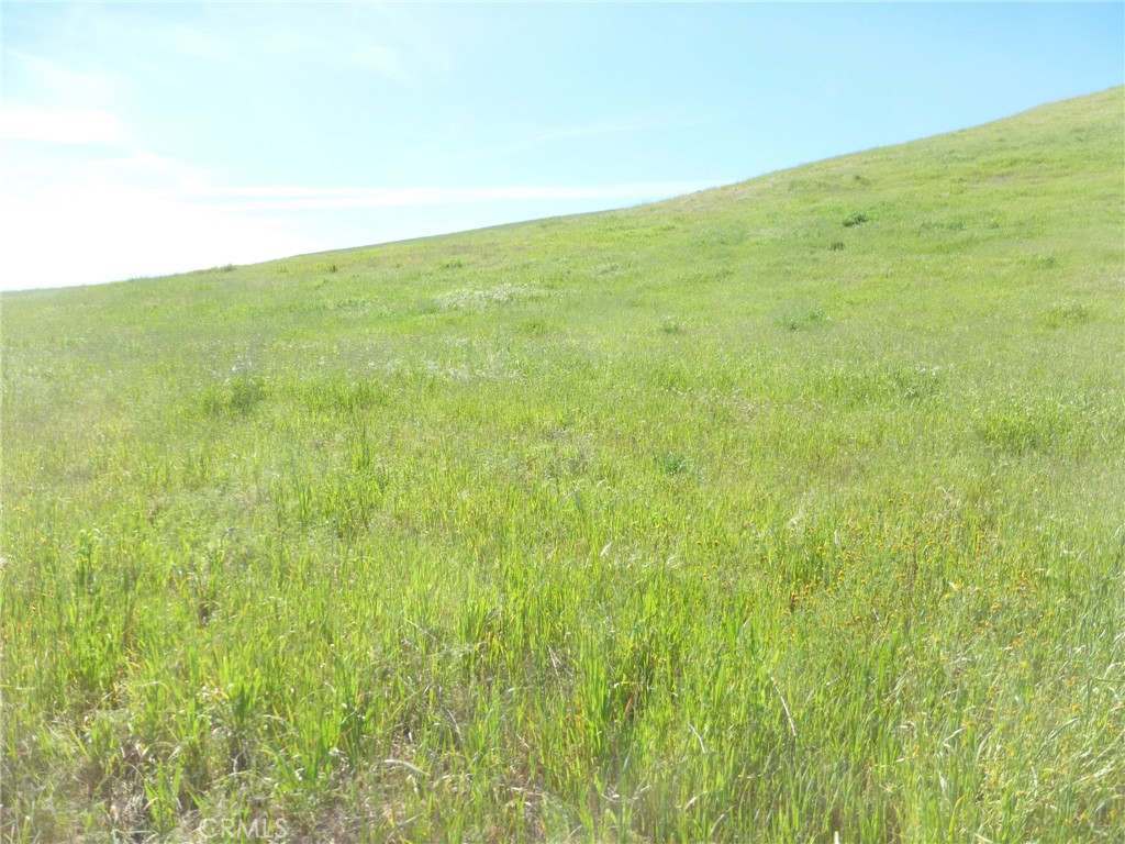 0 Douglas Road San Miguel, CA 93451 - Photo 43 of 51