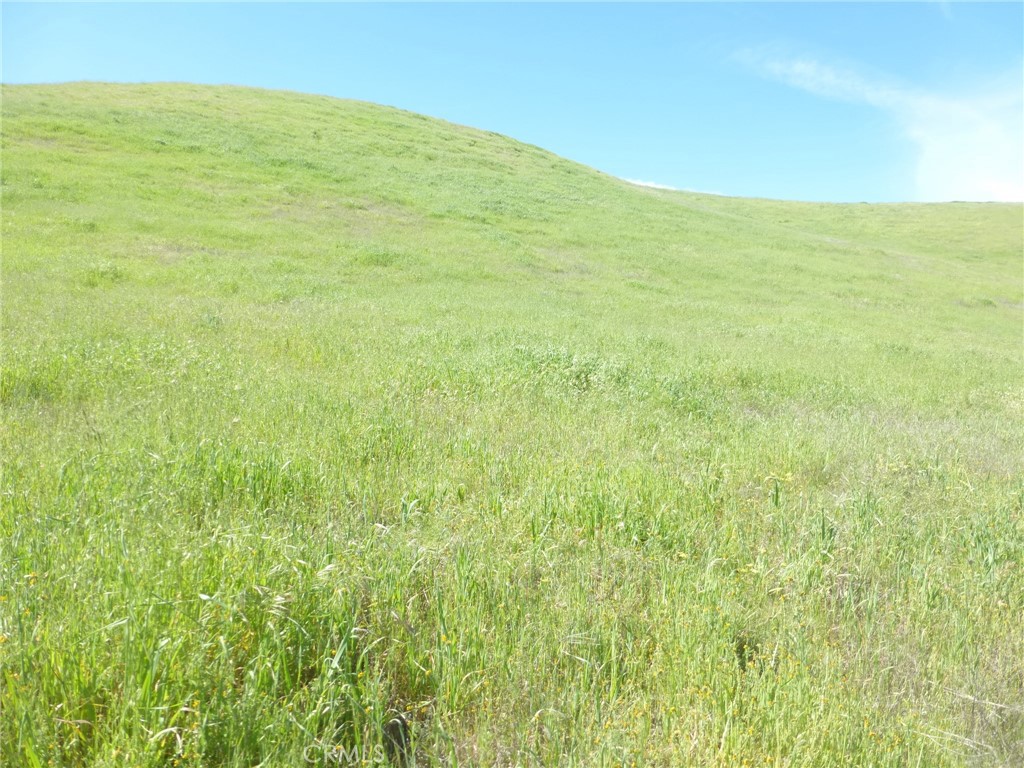 0 Douglas Road San Miguel, CA 93451 - Photo 44 of 51