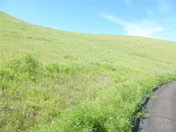 $95,000 | 0 Douglas Road, San Miguel, CA 93451
