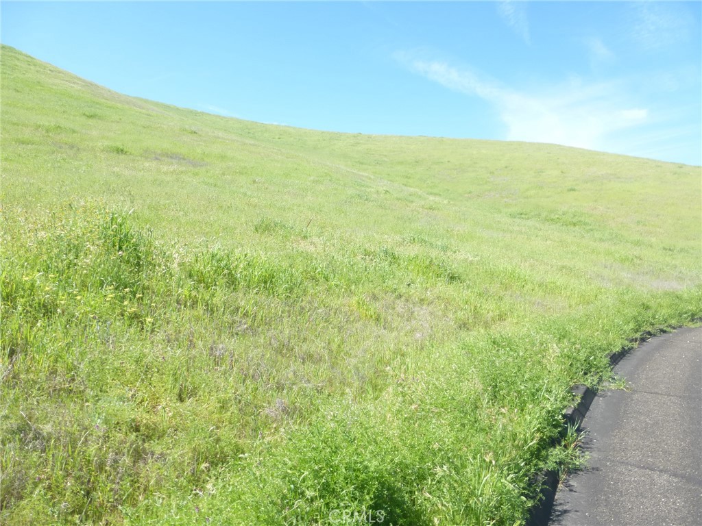 0 Douglas Road San Miguel, CA 93451 - Photo 45 of 51