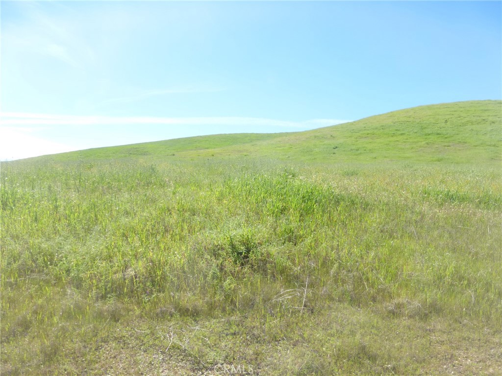 0 Douglas Road San Miguel, CA 93451 - Photo 48 of 51