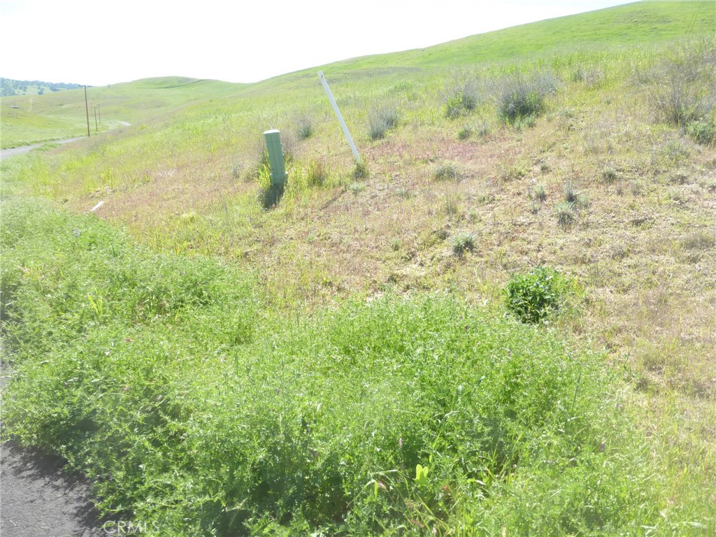 0 Douglas Road San Miguel, CA 93451 - Photo 51 of 51