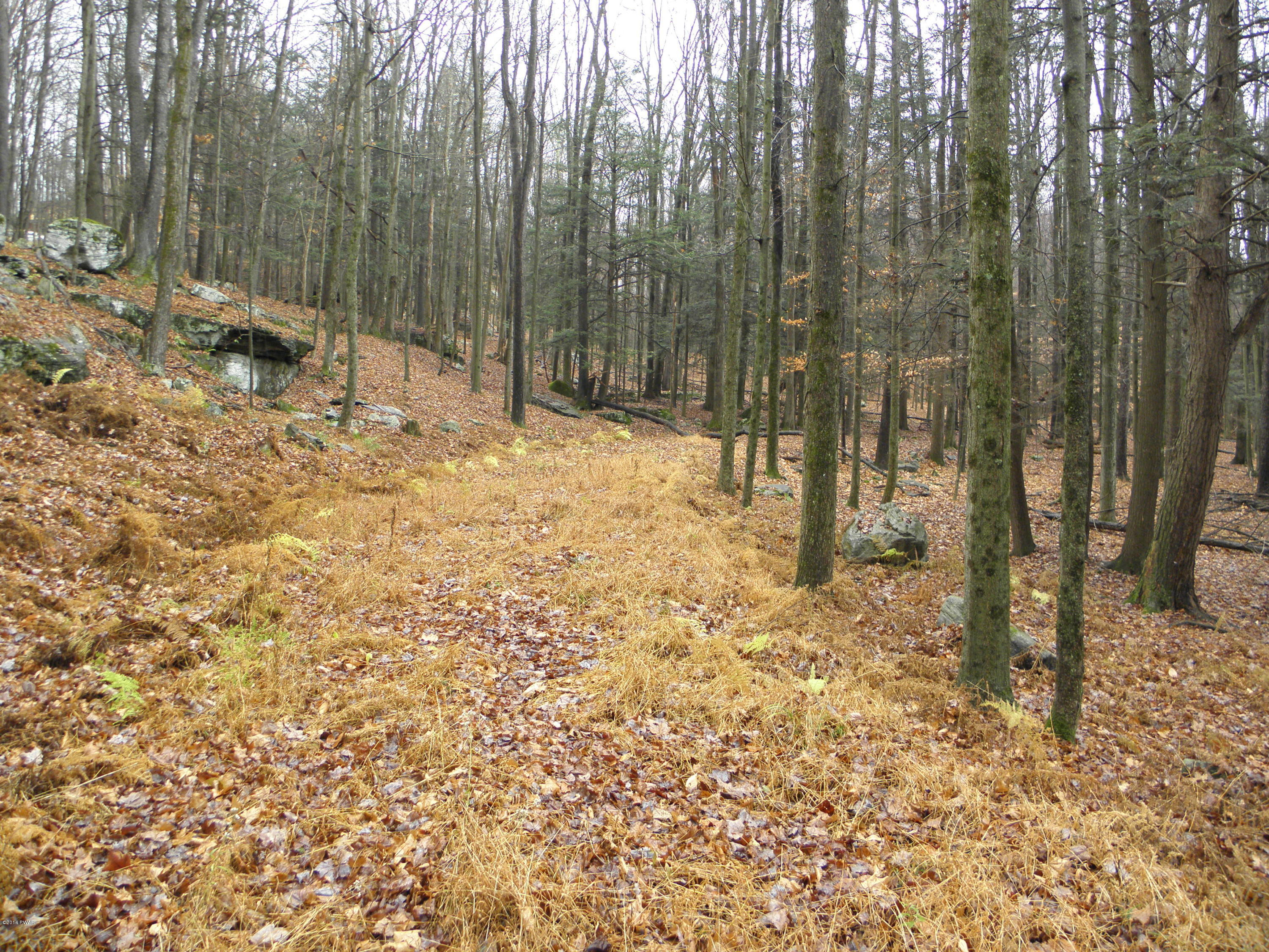 Phillips Road Gouldsboro, PA 18424 - Photo 3 of 6