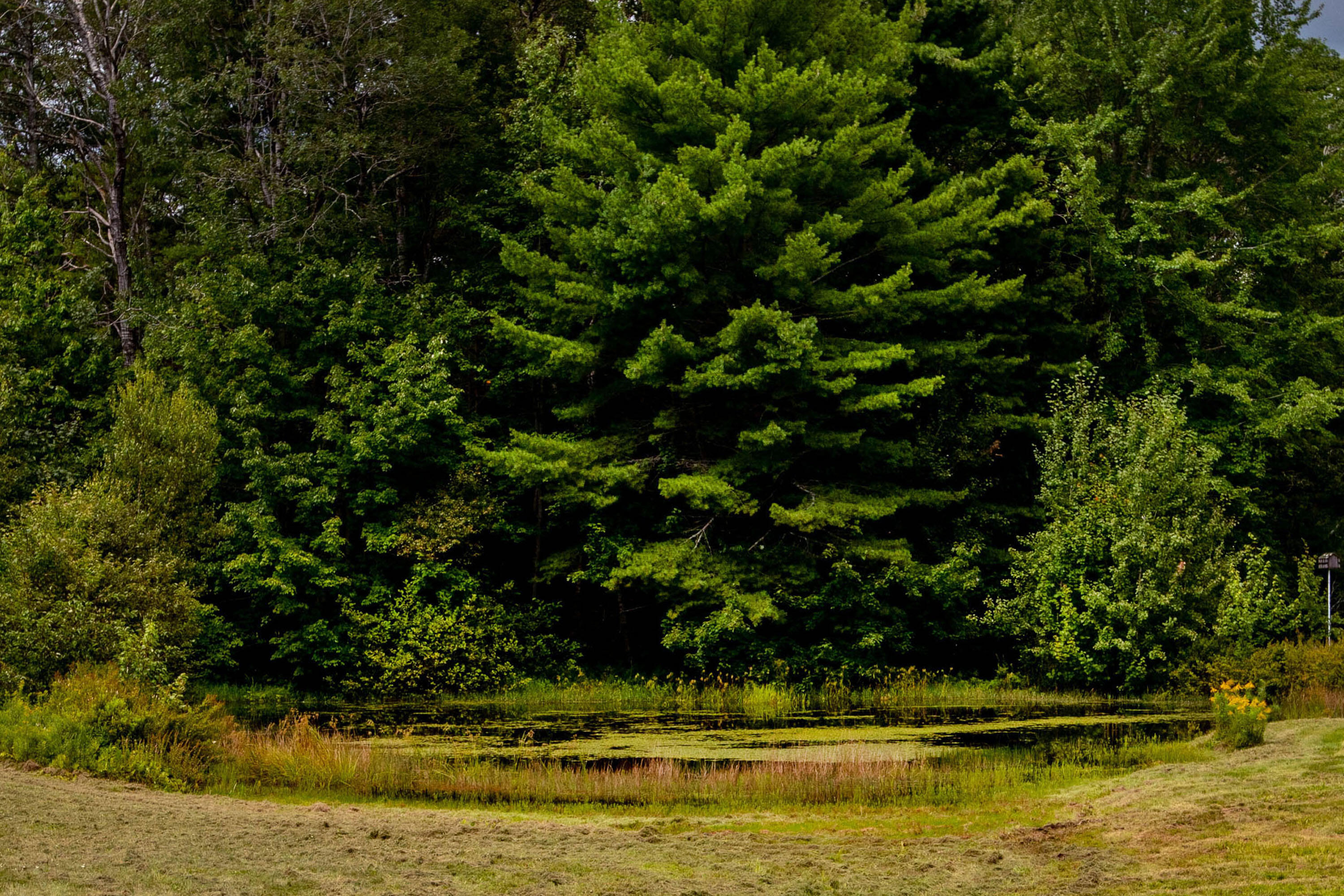 191 Indian Road Wiscasset, ME 04578 - Photo 109 of 123 Indian_Dunbar_049