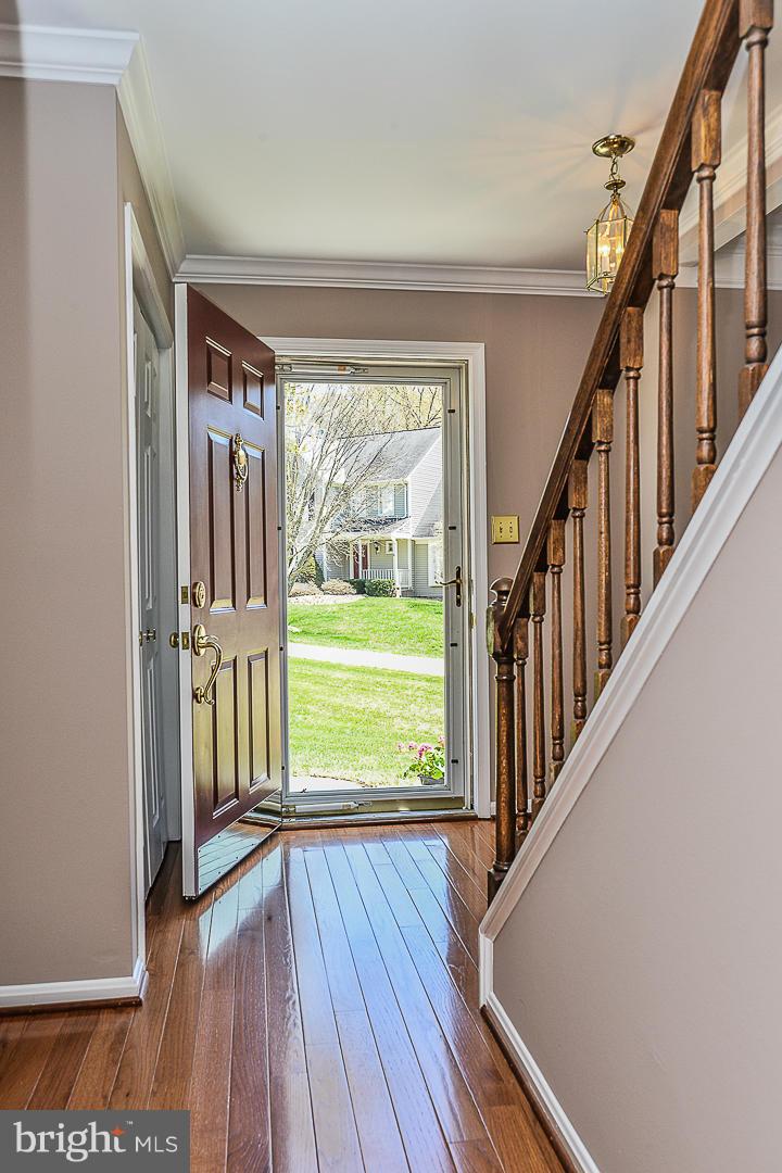 7728 Modisto Lane Springfield, VA 22153 - Photo 3 of 29 Foyer