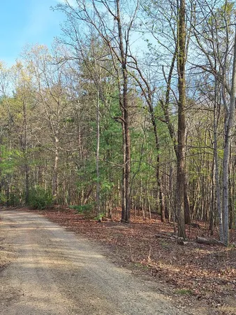 $54,900 | Lot 22 Mull Lane Circle, Morganton, GA 30560