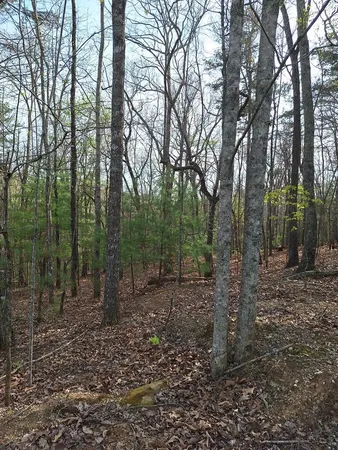$54,900 | Lot 22 Mull Lane Circle, Morganton, GA 30560