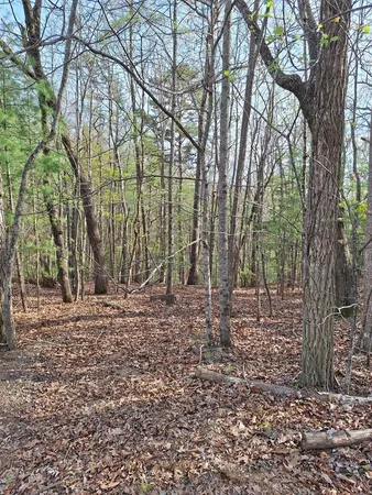 $54,900 | Lot 22 Mull Lane Circle, Morganton, GA 30560