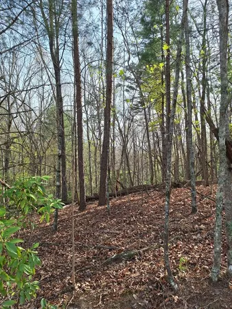 $54,900 | Lot 22 Mull Lane Circle, Morganton, GA 30560
