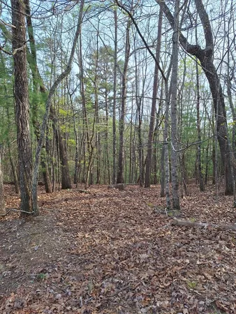 $54,900 | Lot 22 Mull Lane Circle, Morganton, GA 30560