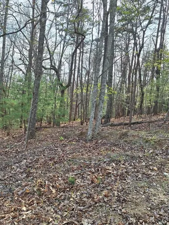 $54,900 | Lot 22 Mull Lane Circle, Morganton, GA 30560
