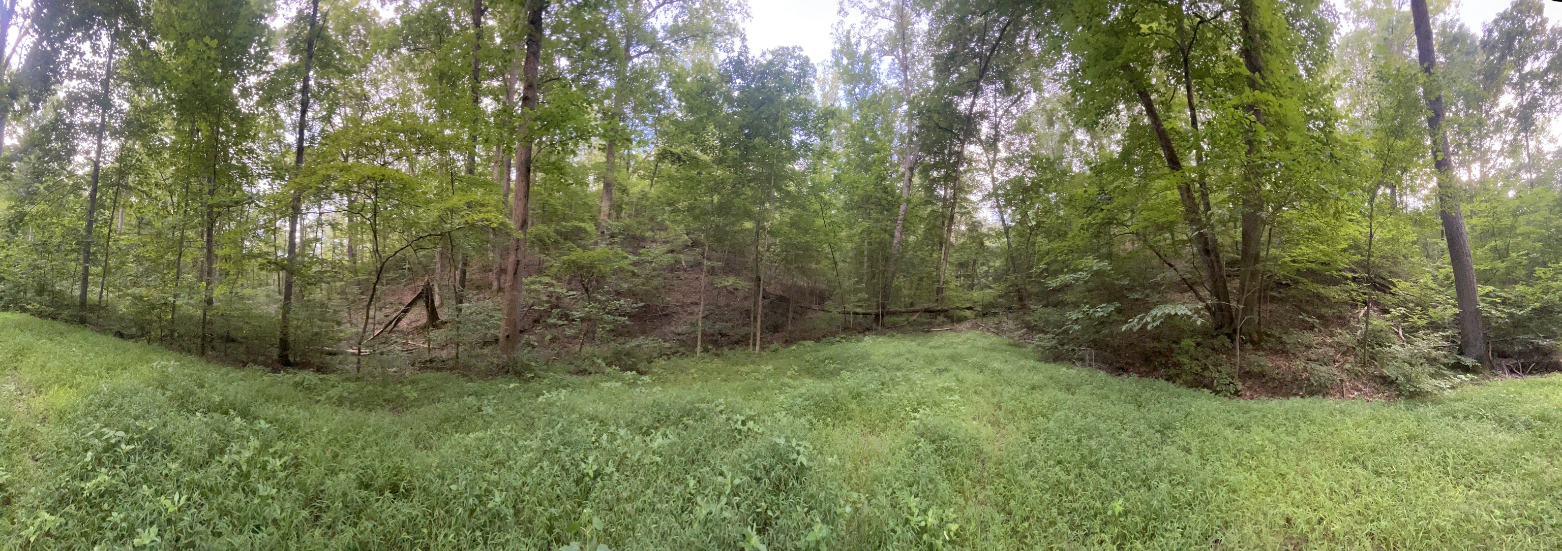1233 Crown Court Ranger, GA 30734 - Photo 2 of 31 a view of outdoor space and green space