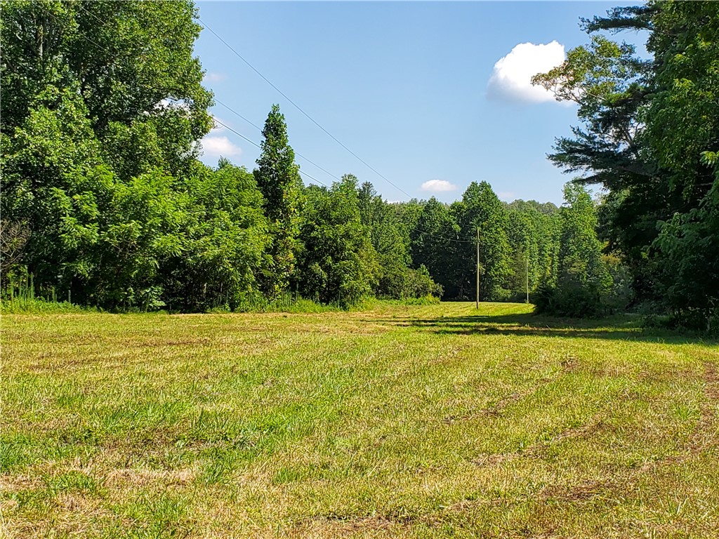 0 Butts Farm Road Westminster, SC 29693 - Photo 1 of 20 Gallery Image 1