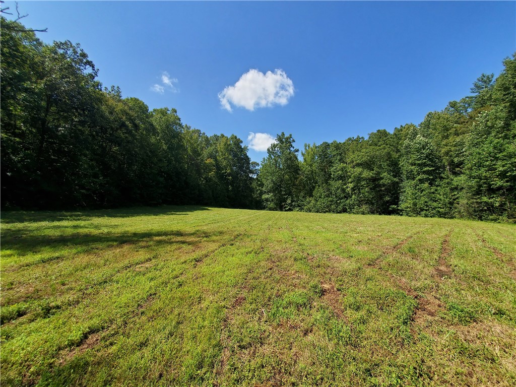 0 Butts Farm Road Westminster, SC 29693 - Photo 2 of 20 Gallery Image 2